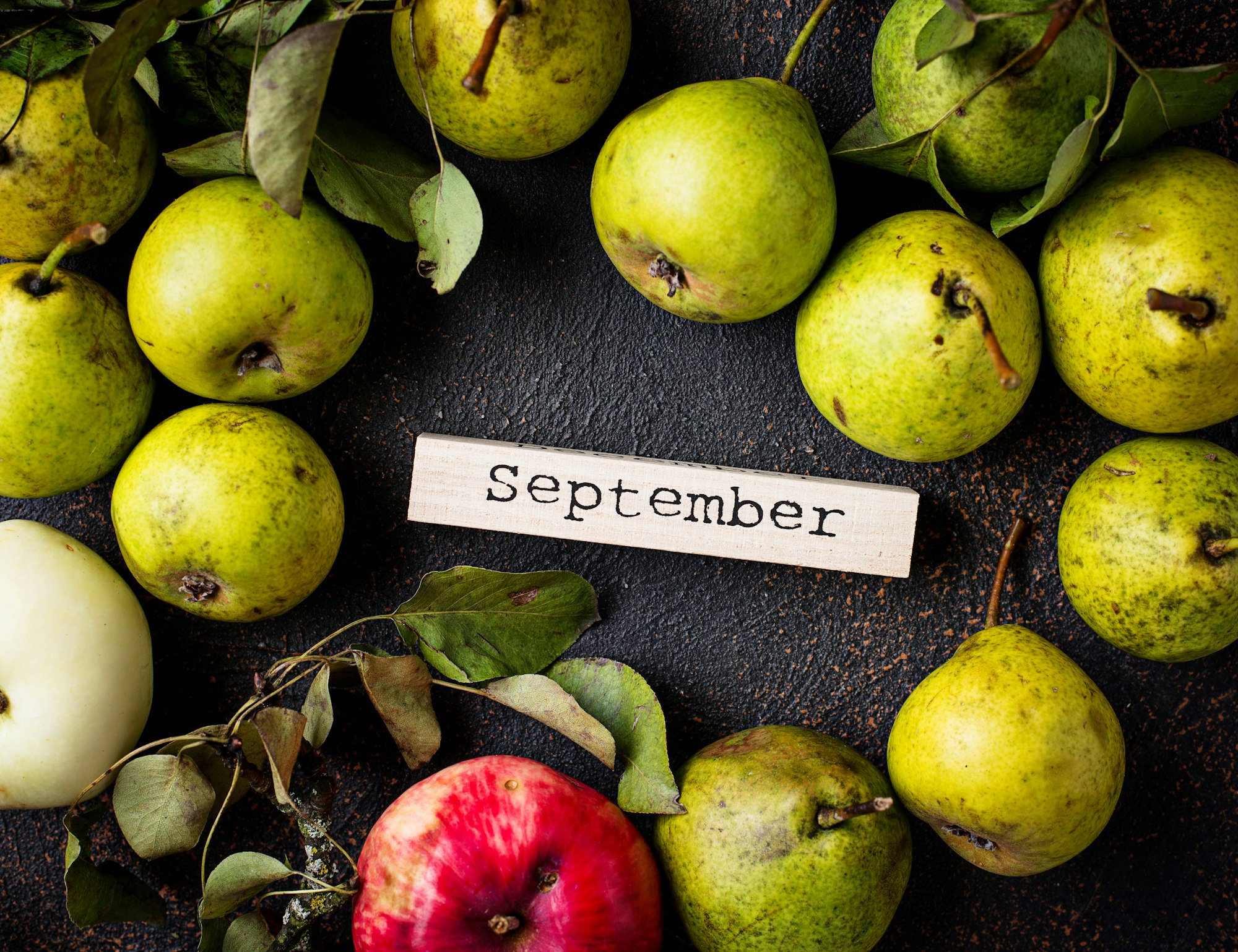 Autumn September background with pears